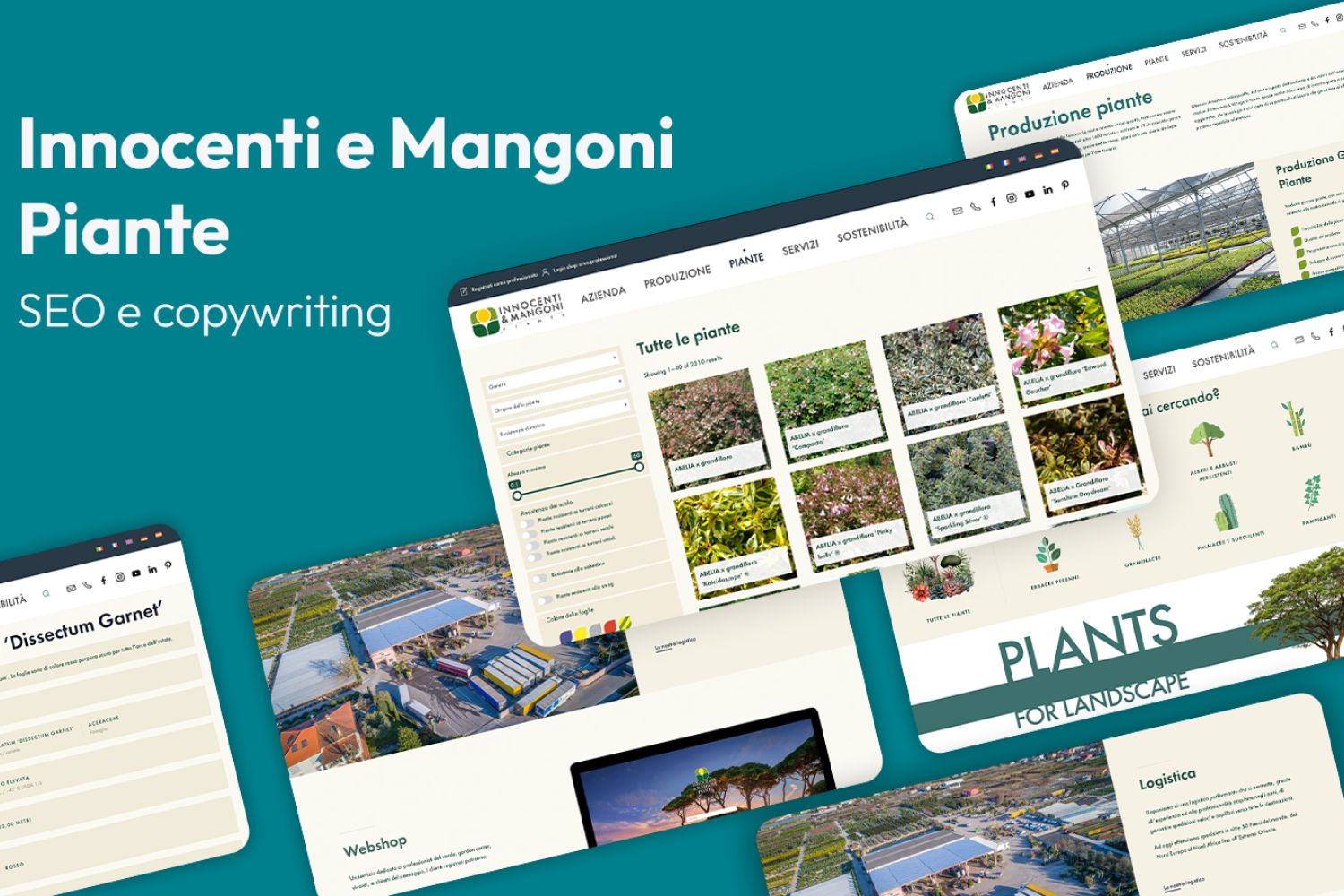Architettura SEO e copywriting per vivaista Innocenti e Mangoni