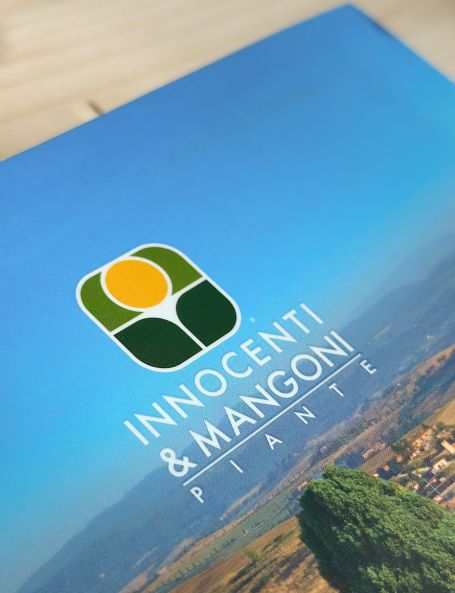 Progettazione grafica per aziende