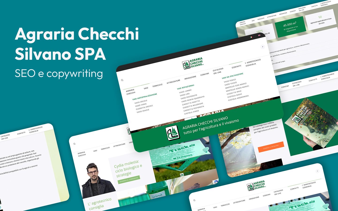 Seo e contenuti per Agraria Checchi Silvano Spa