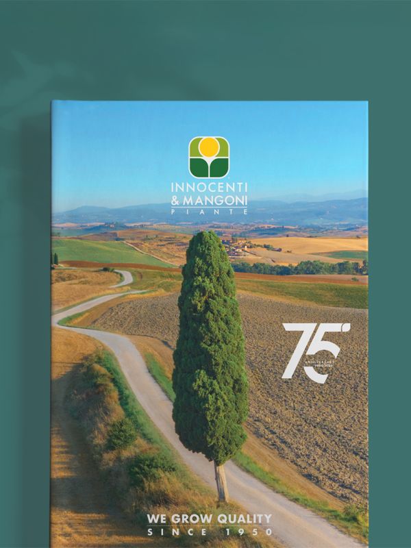 Catalogo Innocenti & Mangoni Piante