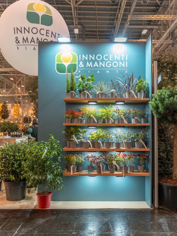 Realizzazione stand fieristici