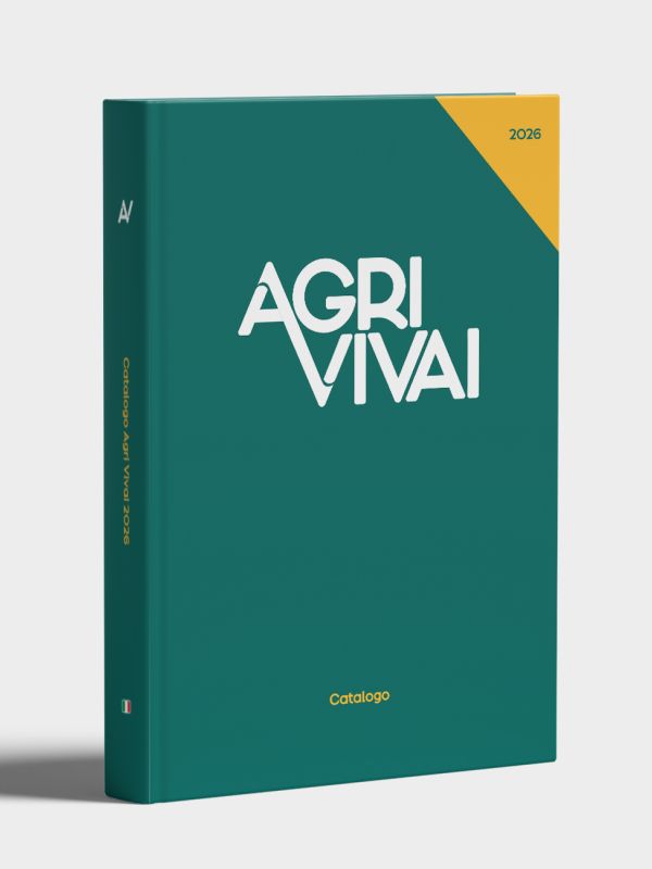 Realizzazione catalogo Innocenti & Mangoni Piante