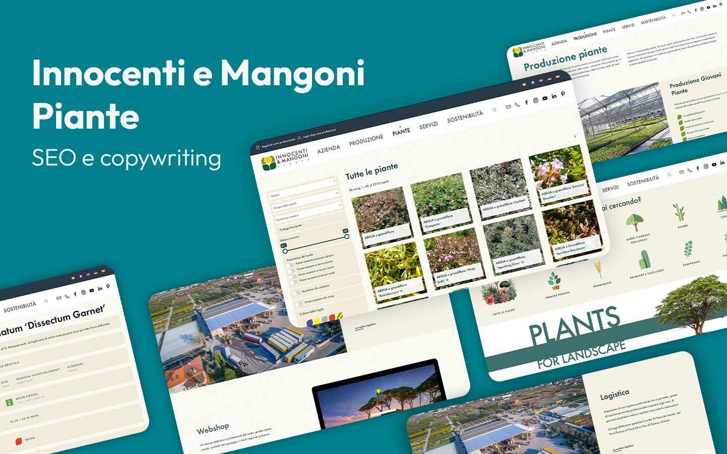 Architettura SEO e copywriting per vivaista Innocenti e Mangoni